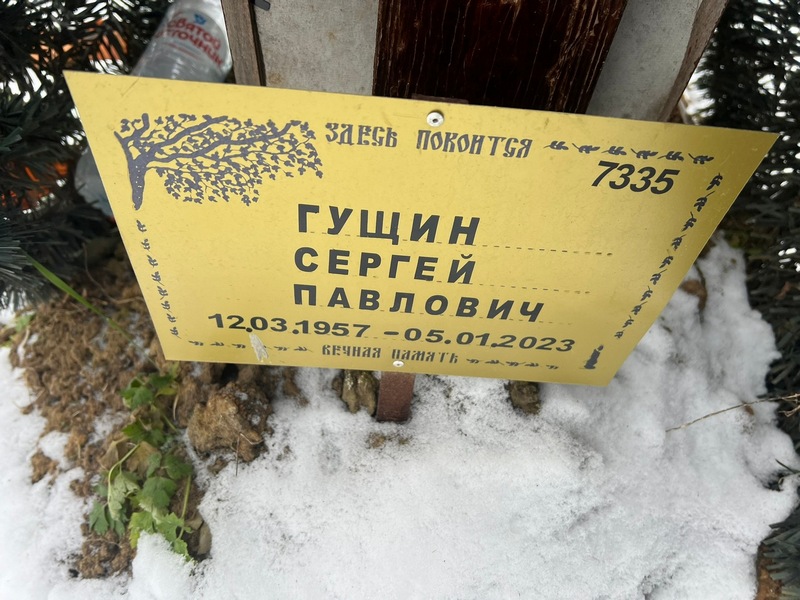 Гущин