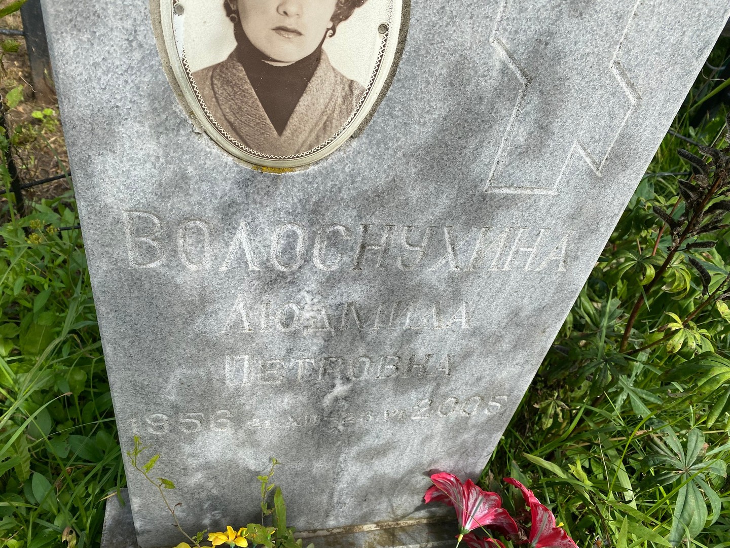 Волоснухина