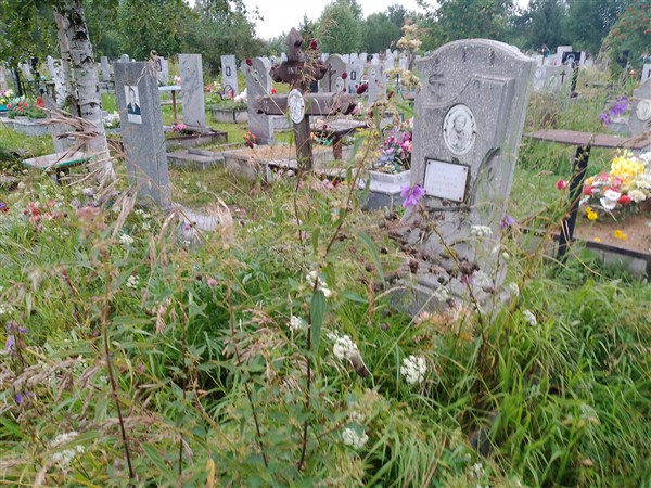 Севрюгина Евгения Дмитриевна