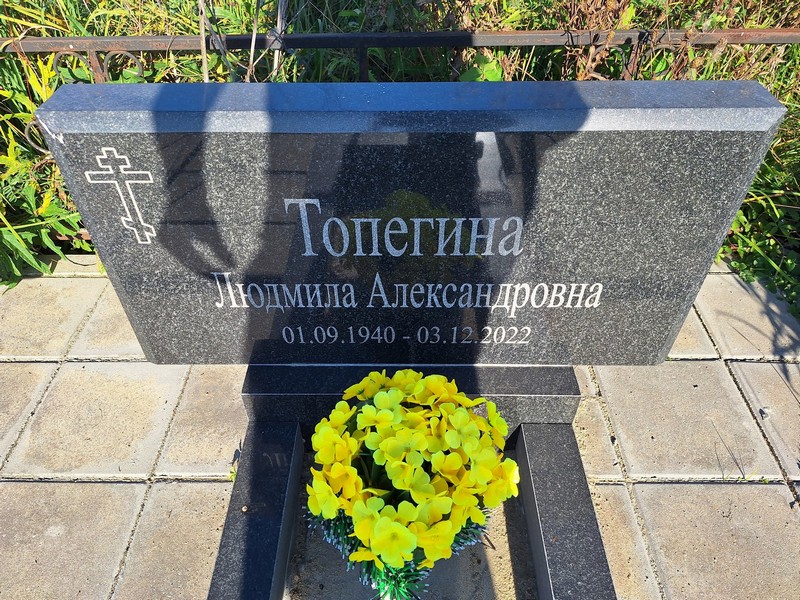 Топегина