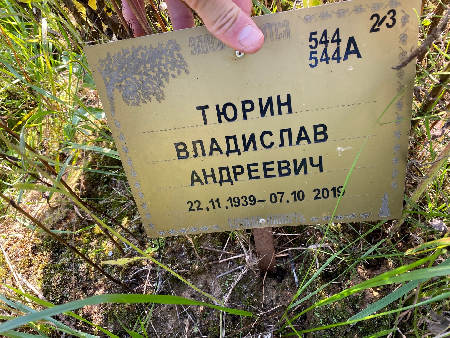 Тюрин Владислав Андреевич