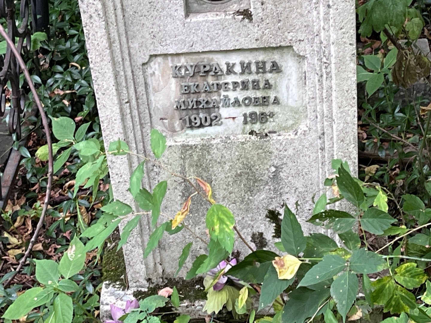 Куракина