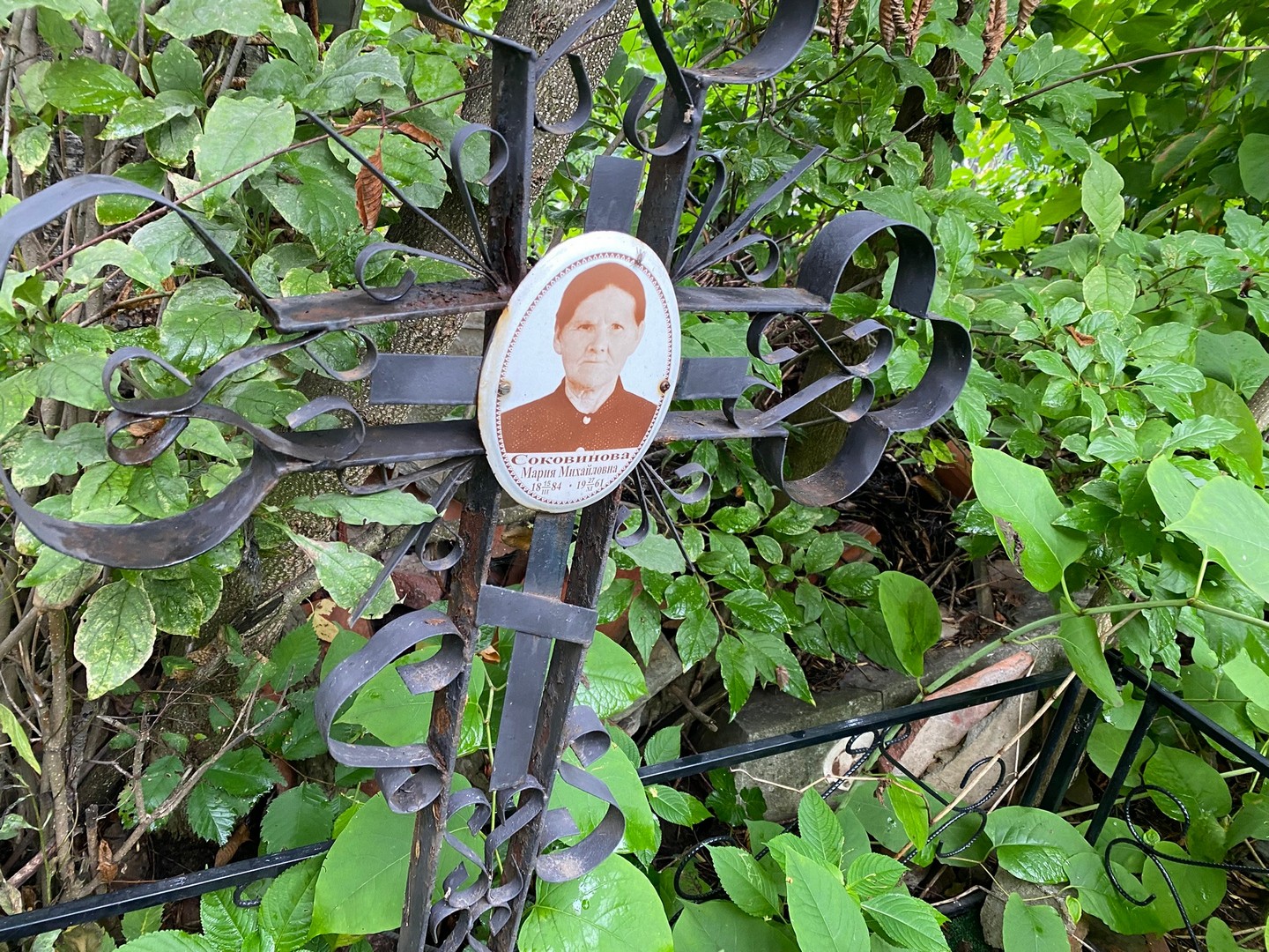 Соковинова
