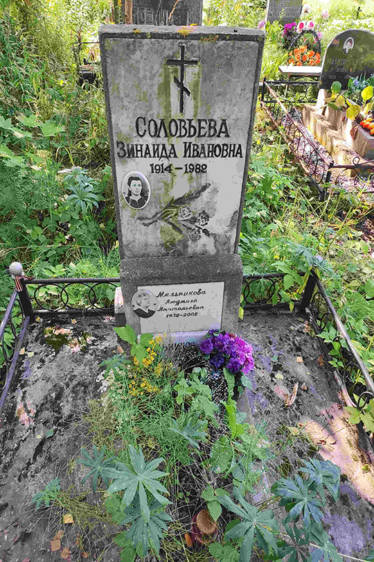 Мельников С. В.