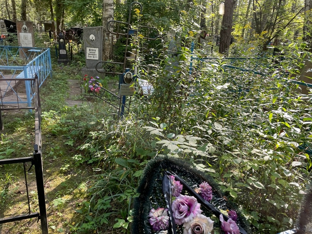 Авдеева Анна Ильинична