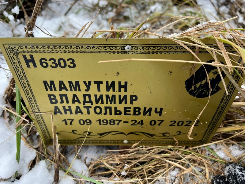 Мамутин