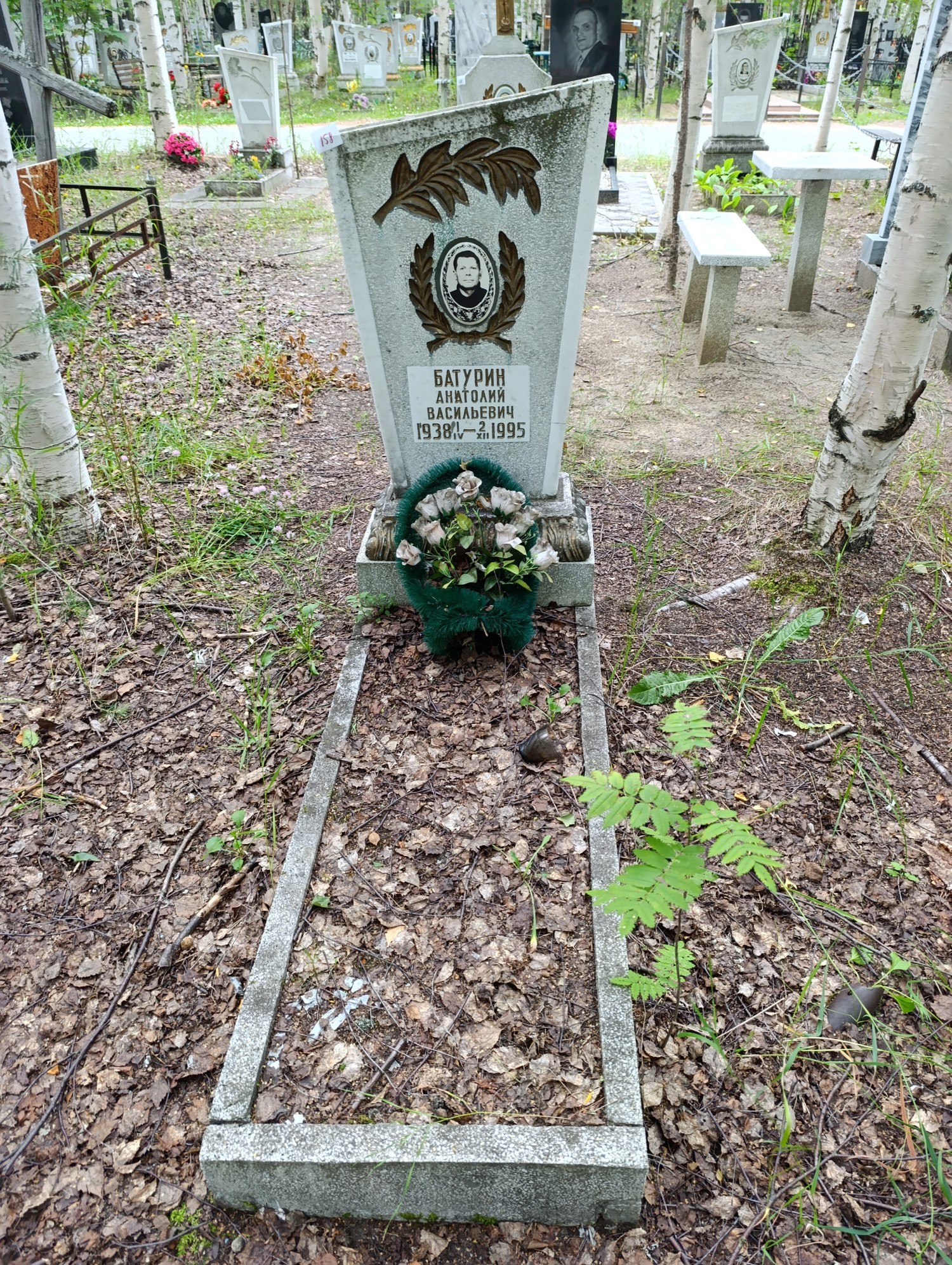 Батурин Анатолий Васильевич