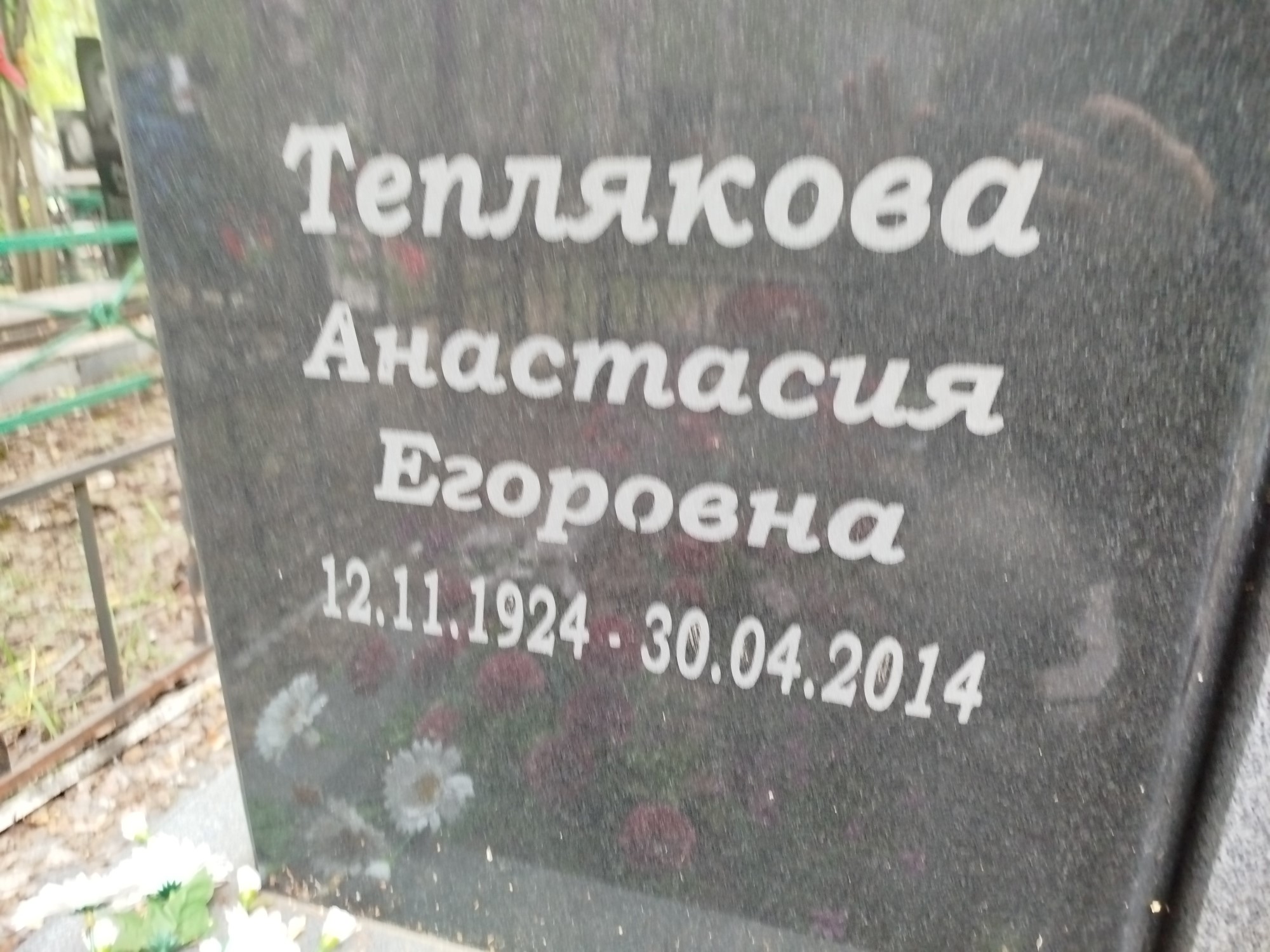 Теплякова Анастасия Егоровна