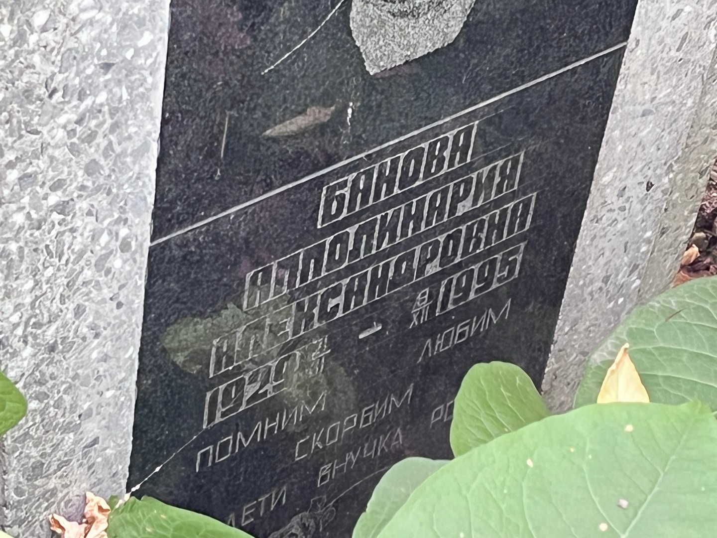 Апполинария Банова Александровна