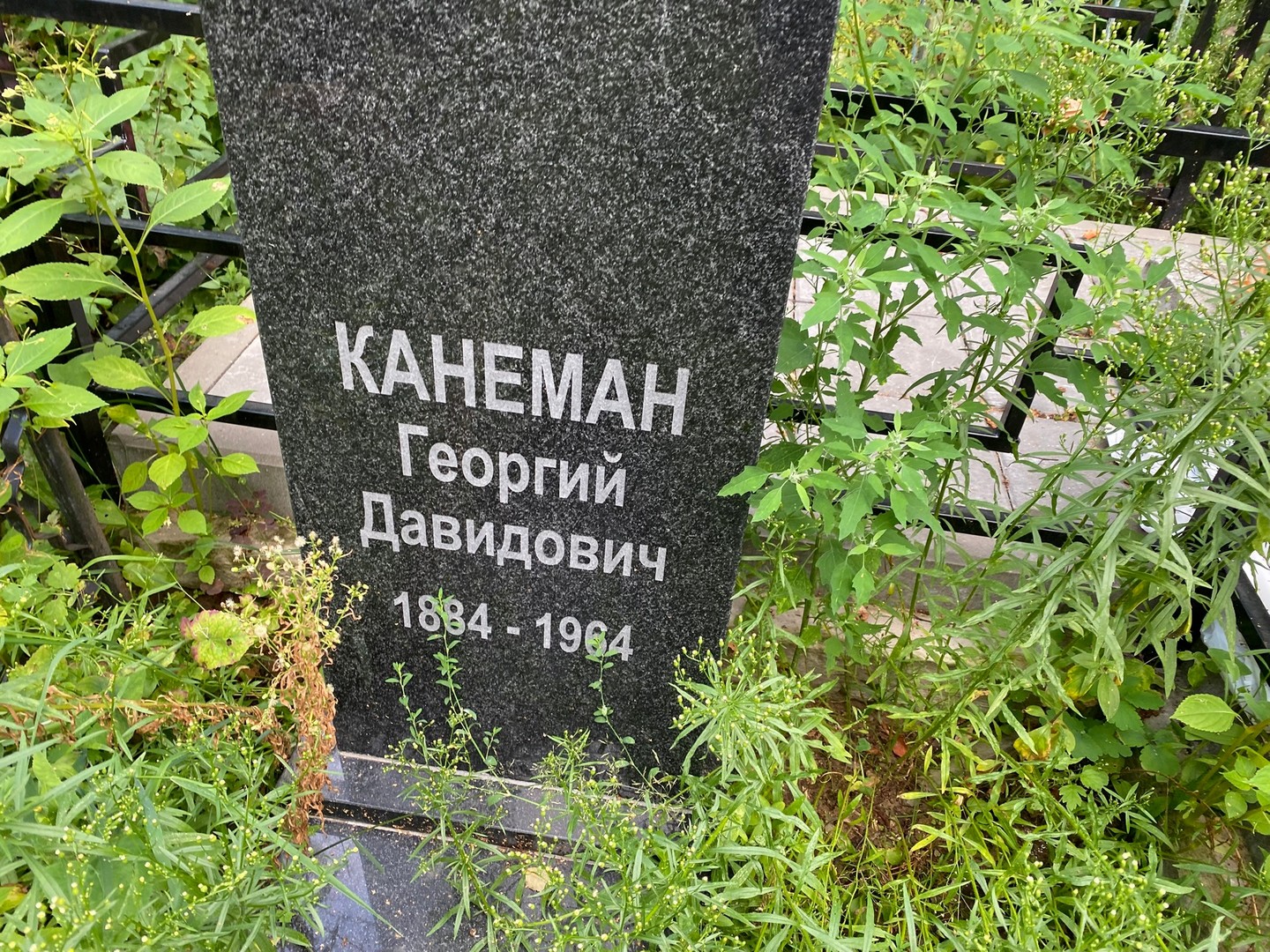 Канеман