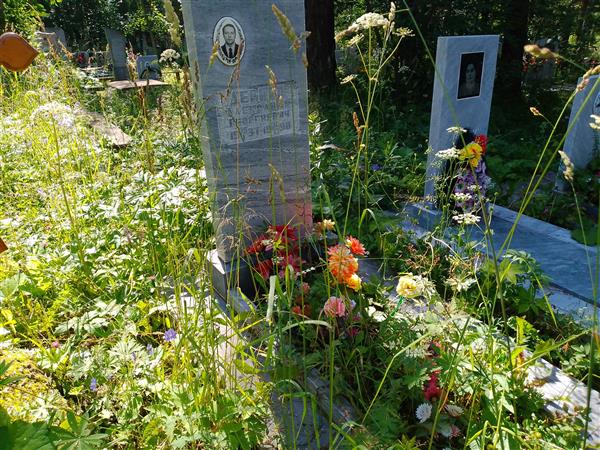 Деринг Александр Георгиевич