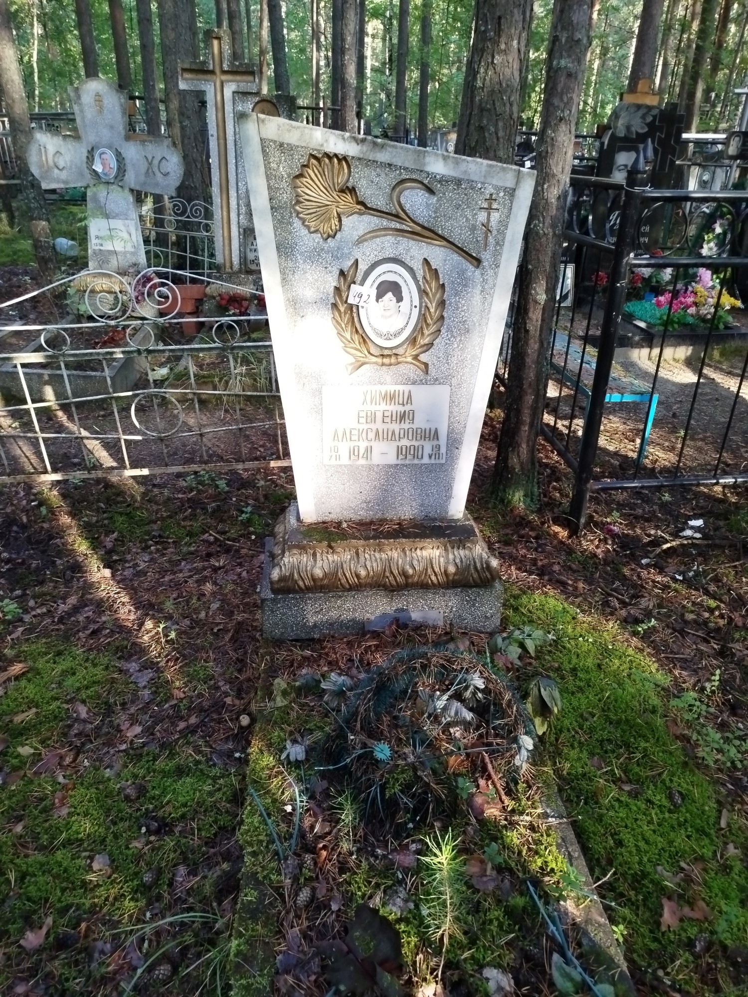 Химица Евгения Александровна