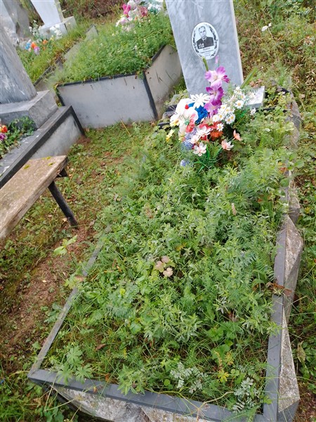 Камаев Георгий Никифорович