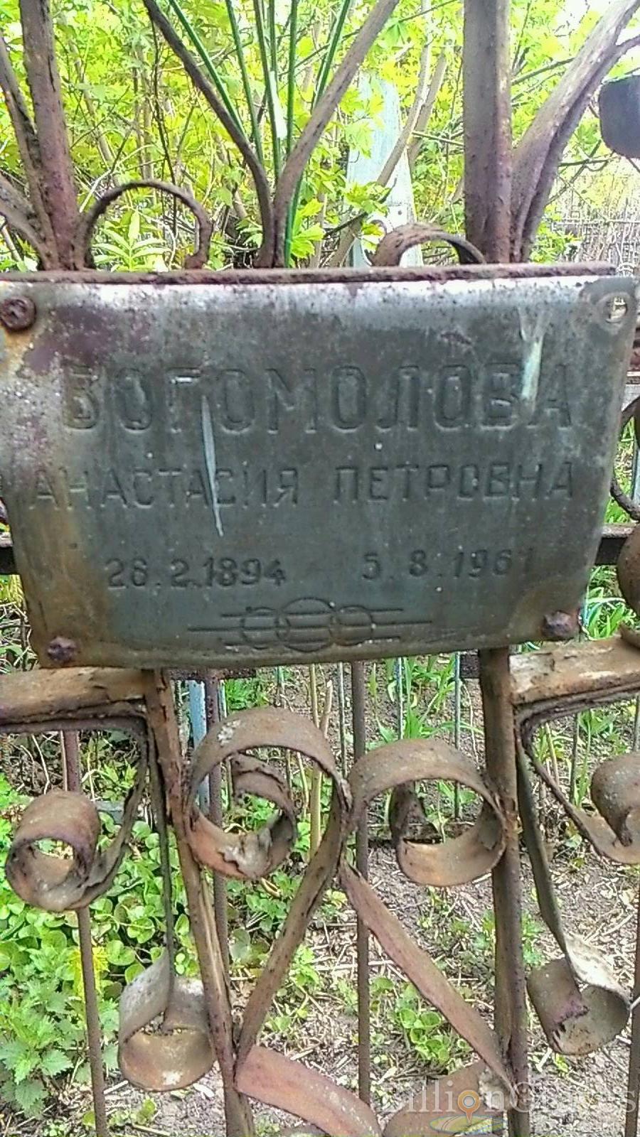 Богомолова Анастасия Петровна