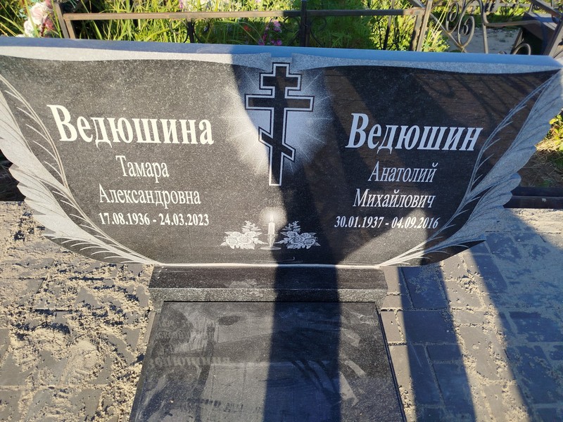 Ведюшин