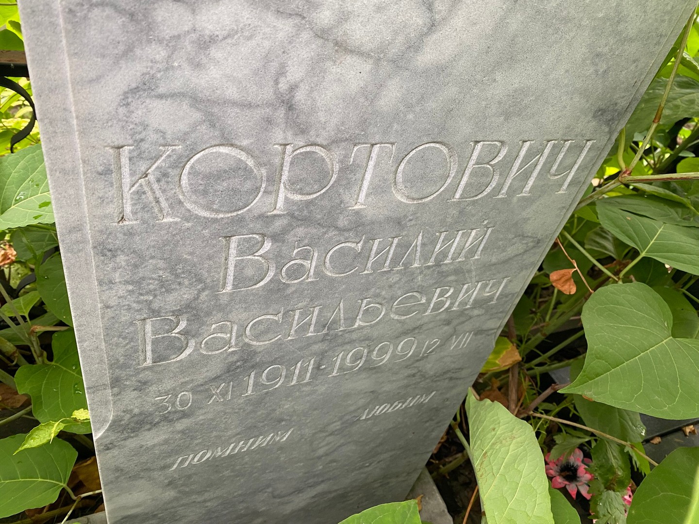 Кортович