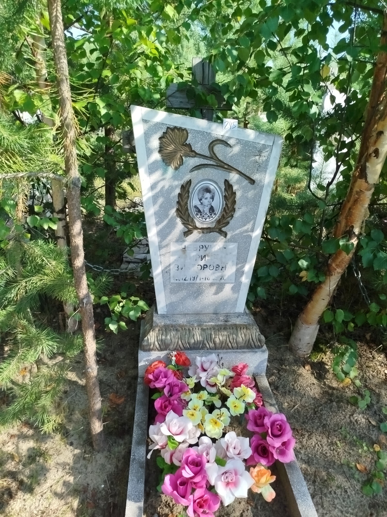 Чебручан Ирина Викторовна