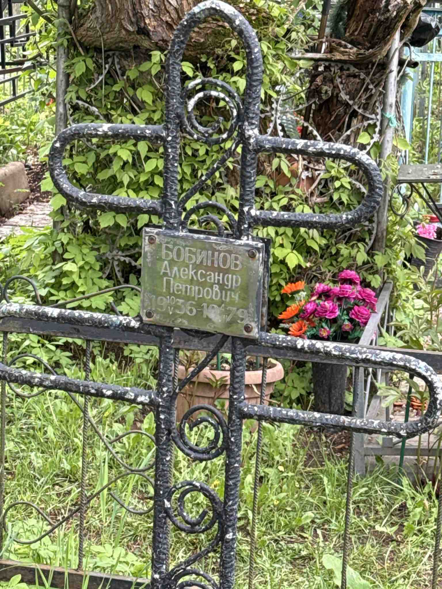 Бобинов Александр Петрович