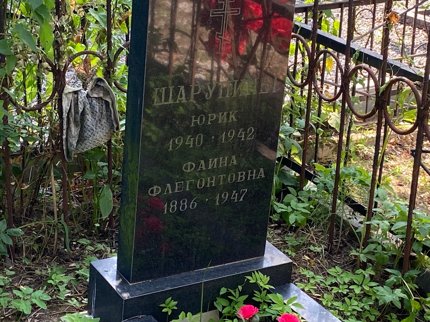 Шарупин Шарупин