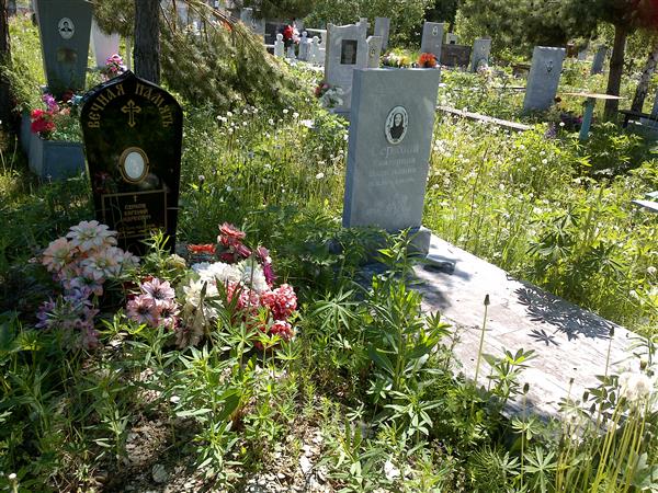 Серков Евгений Андреевич