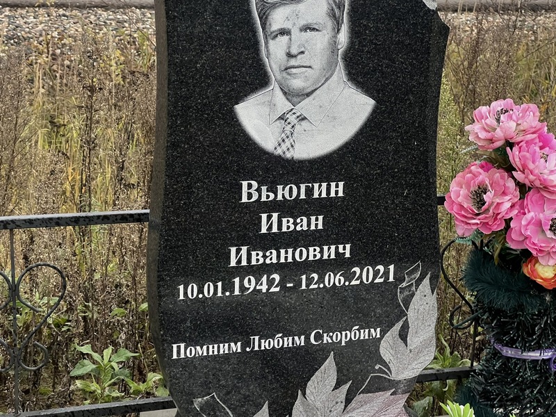 Вьюгин