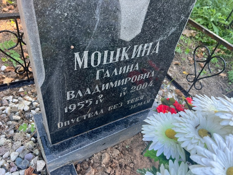 Мошкина