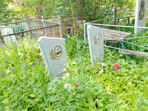 Островский Николай Кузьмич