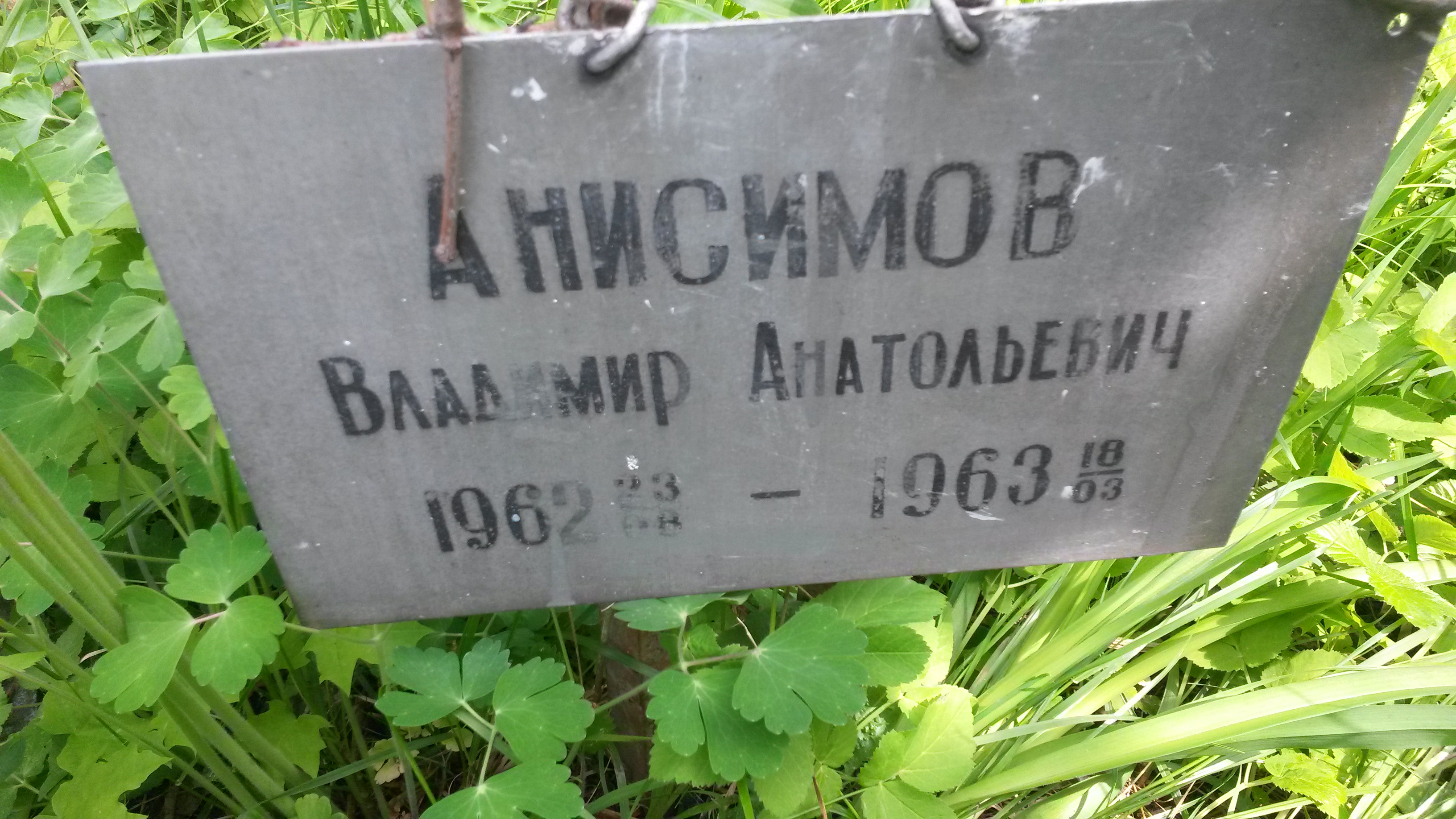 Анисимов Владимир Анатольевич
