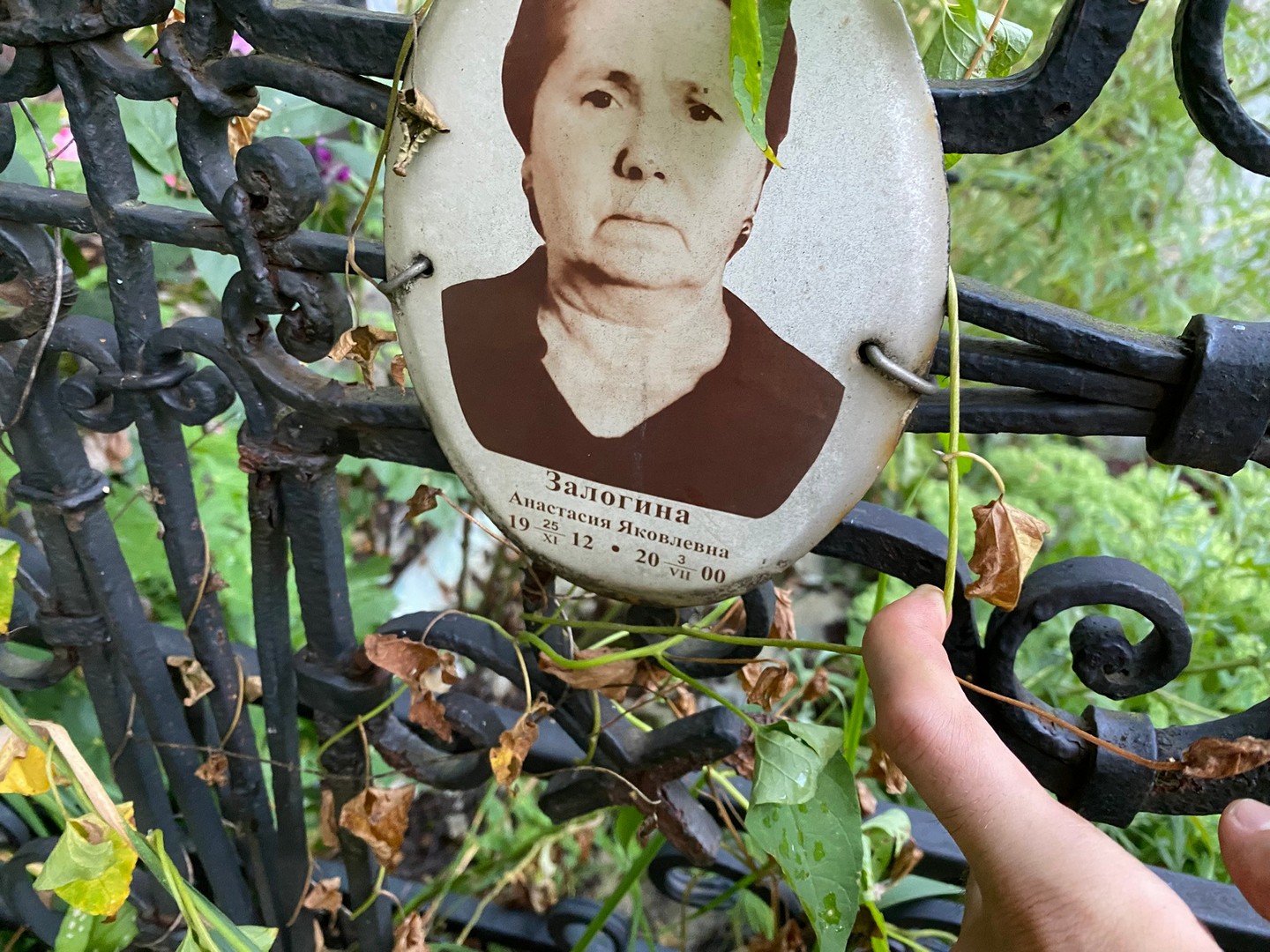 Залогина Анастасия Яковлевна