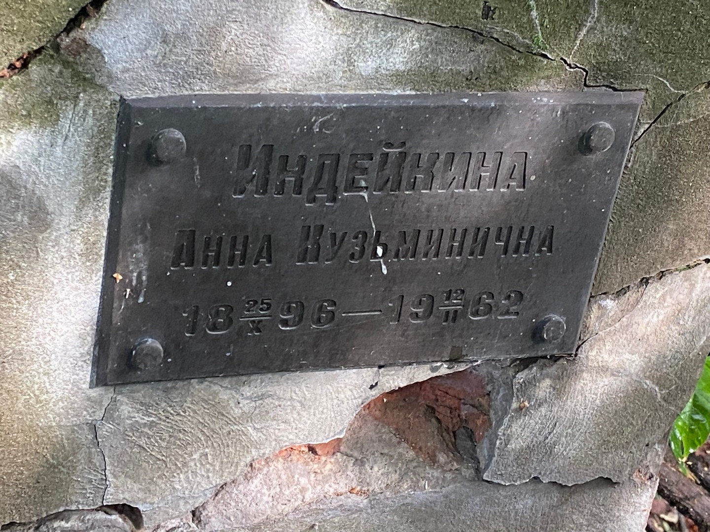 Индейкина