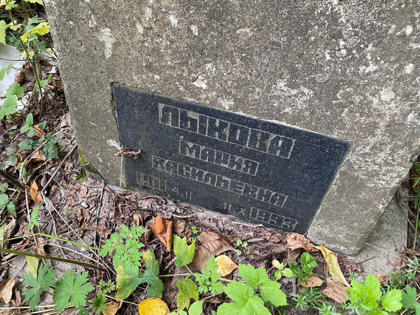 Лыкова