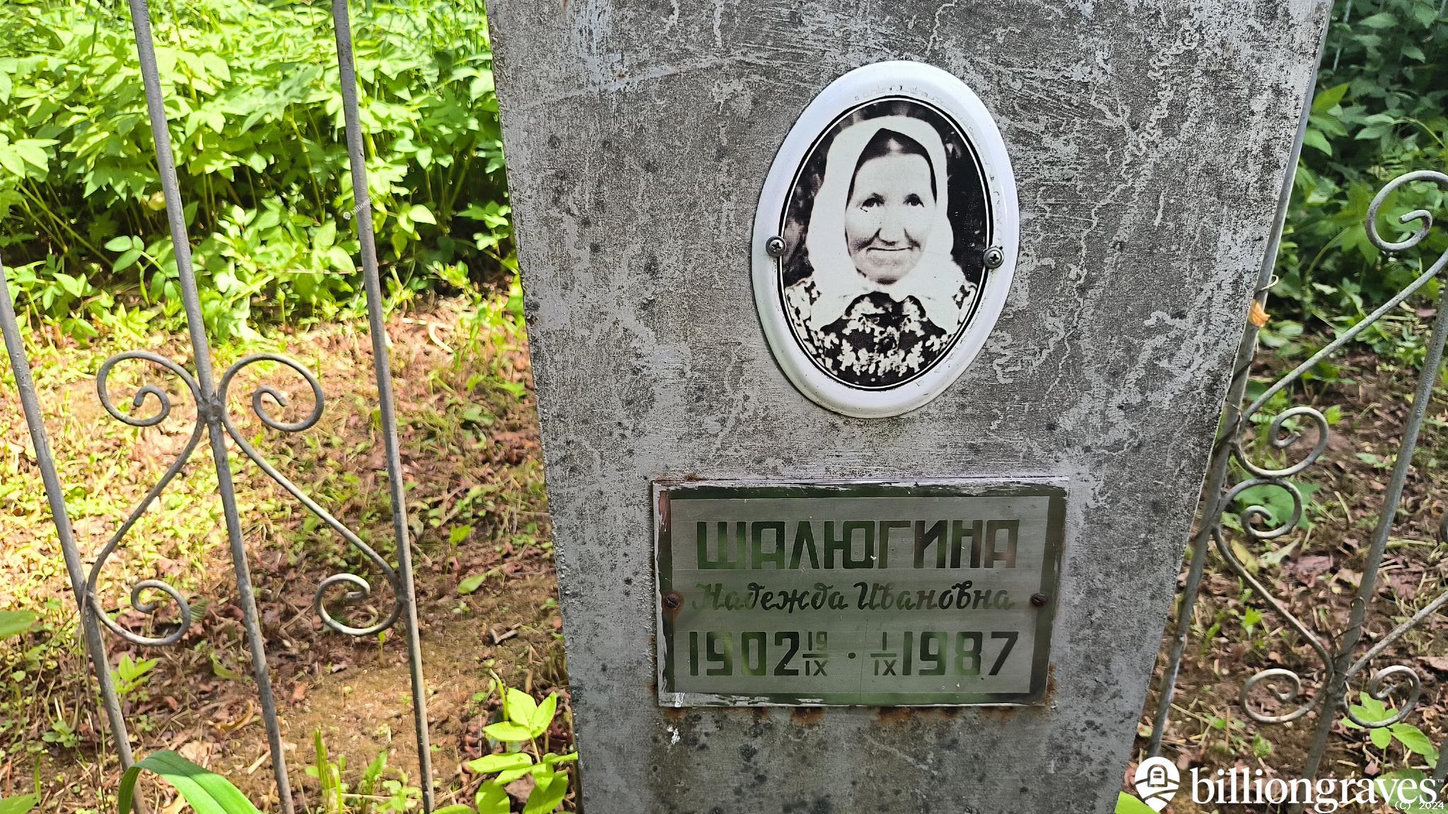 Шалюгина Надежда Ивановна