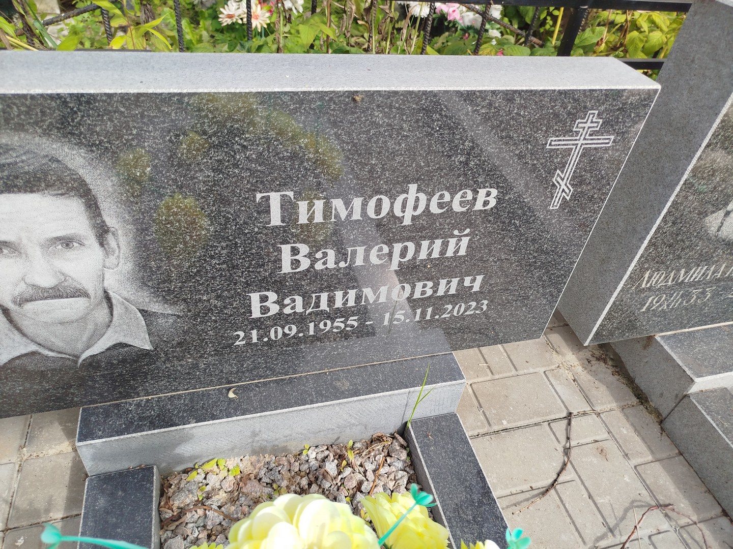 Тимофеев