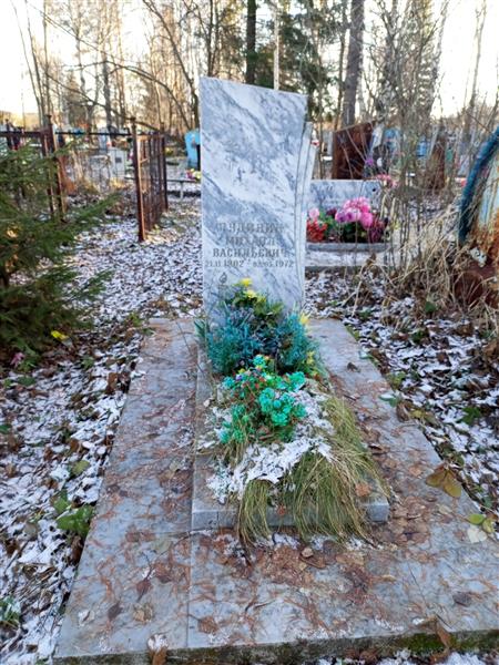Лудинин Михаил Васильевич