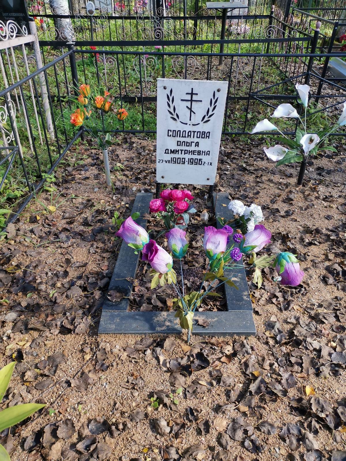Солдатова Ольга Дмитриевна