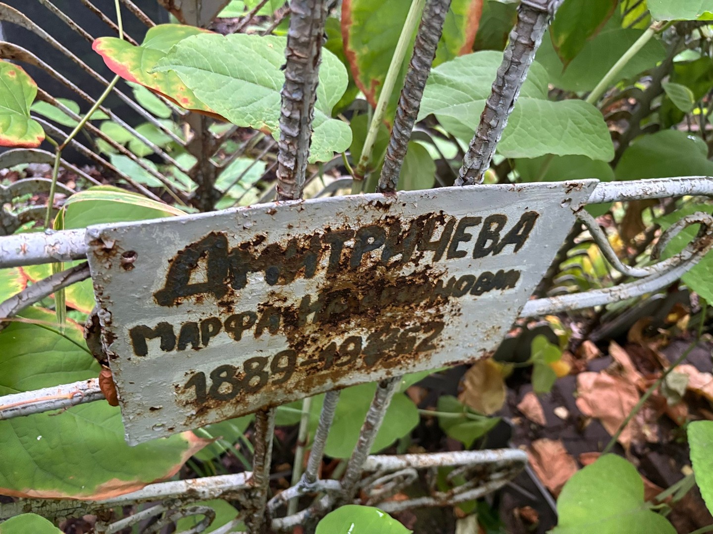 Марфа Дмитричева