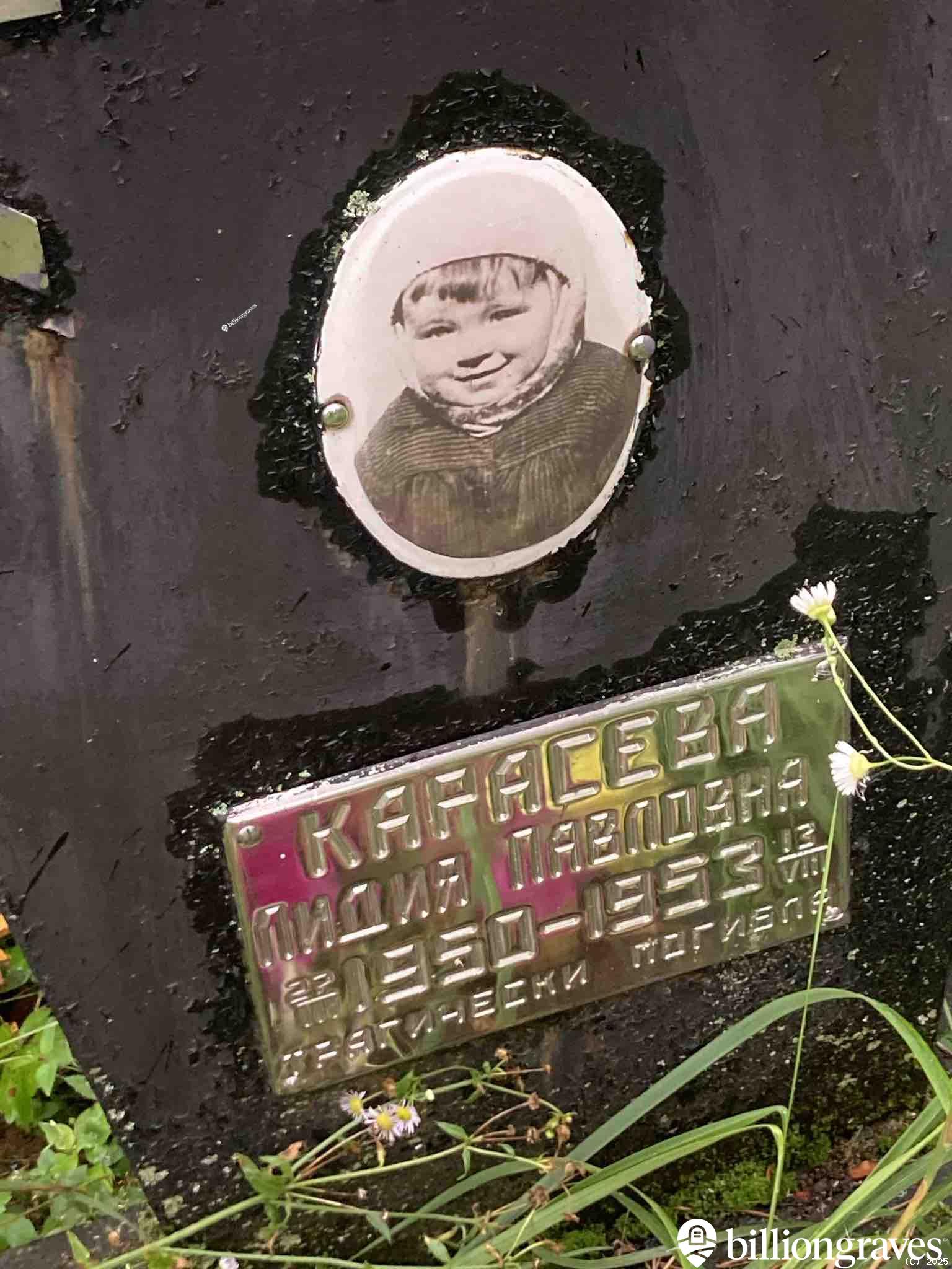 Карасева Лидия Павловна