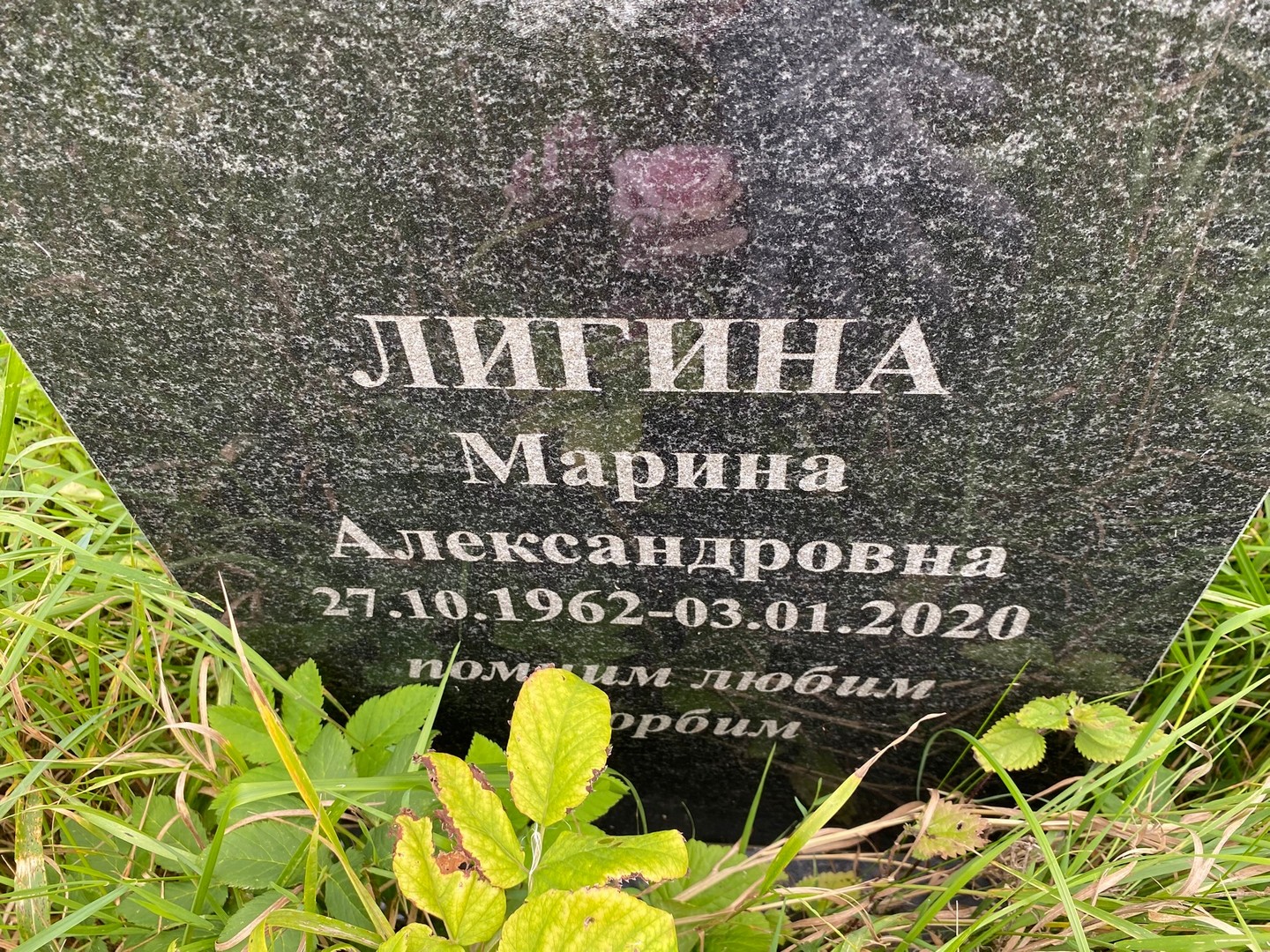 Лигина