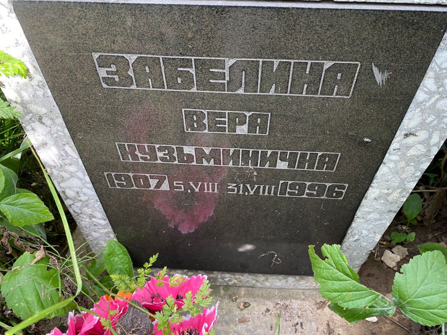 Забелина