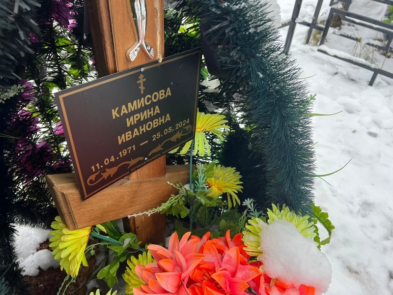 Камисова