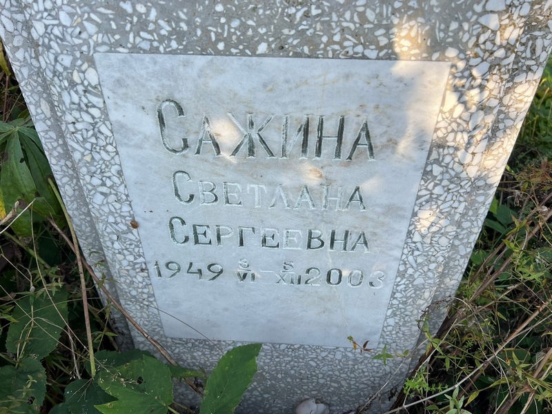 Сажина