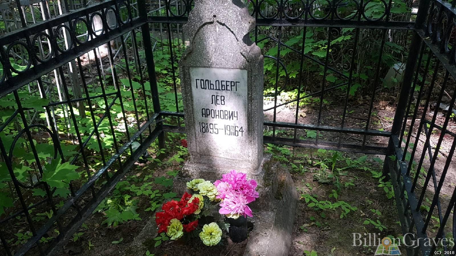 Аронович Гольдберг Лев