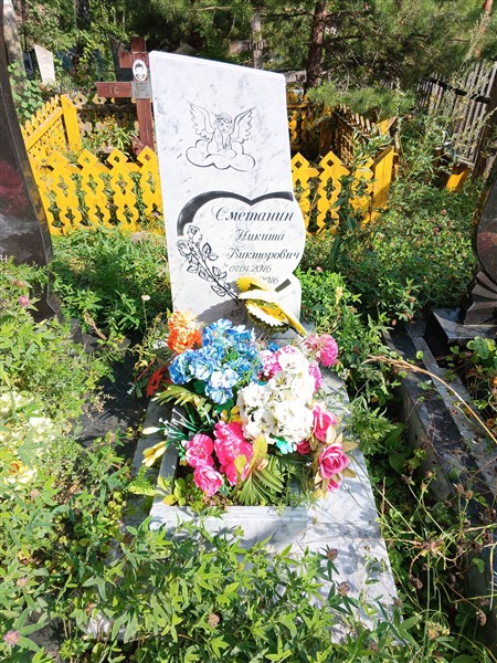 Сметанин Никита Викторович