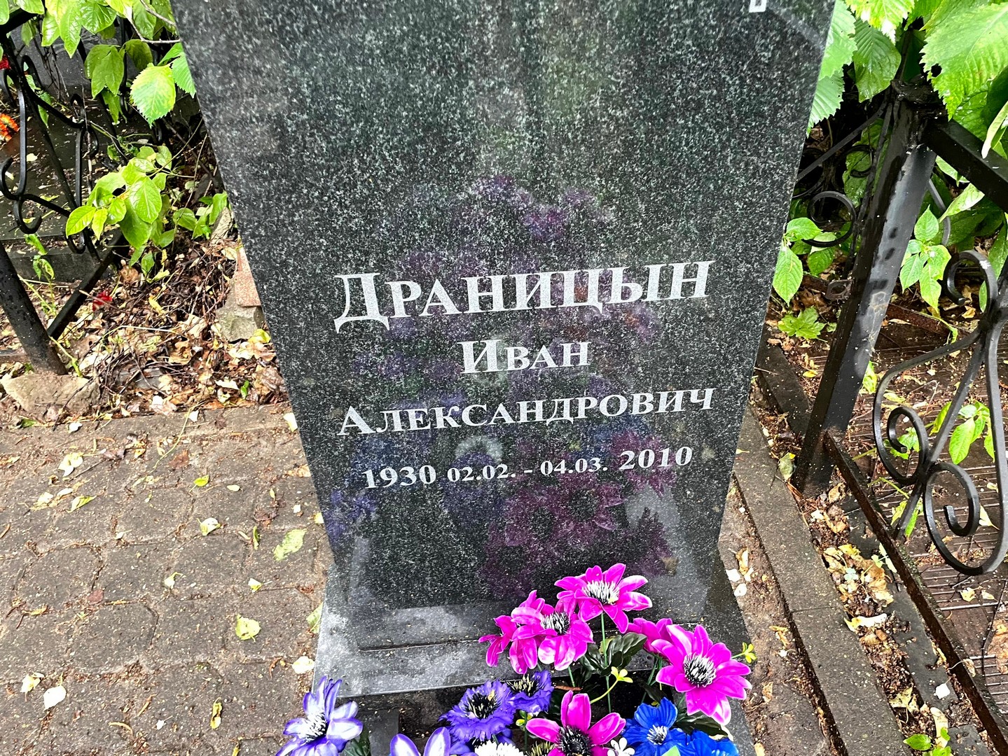 Драницын