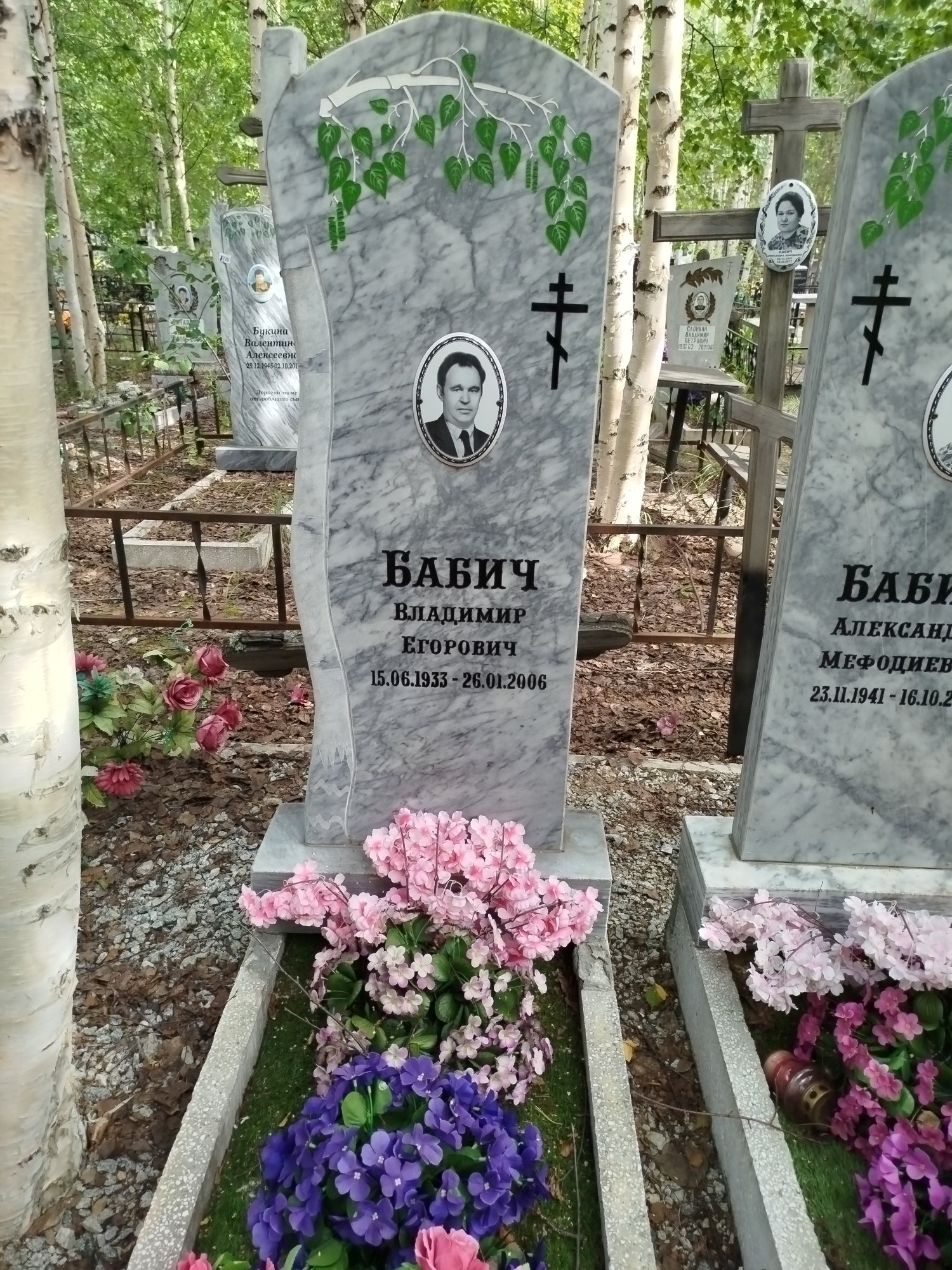Бабич Владимир Егорович