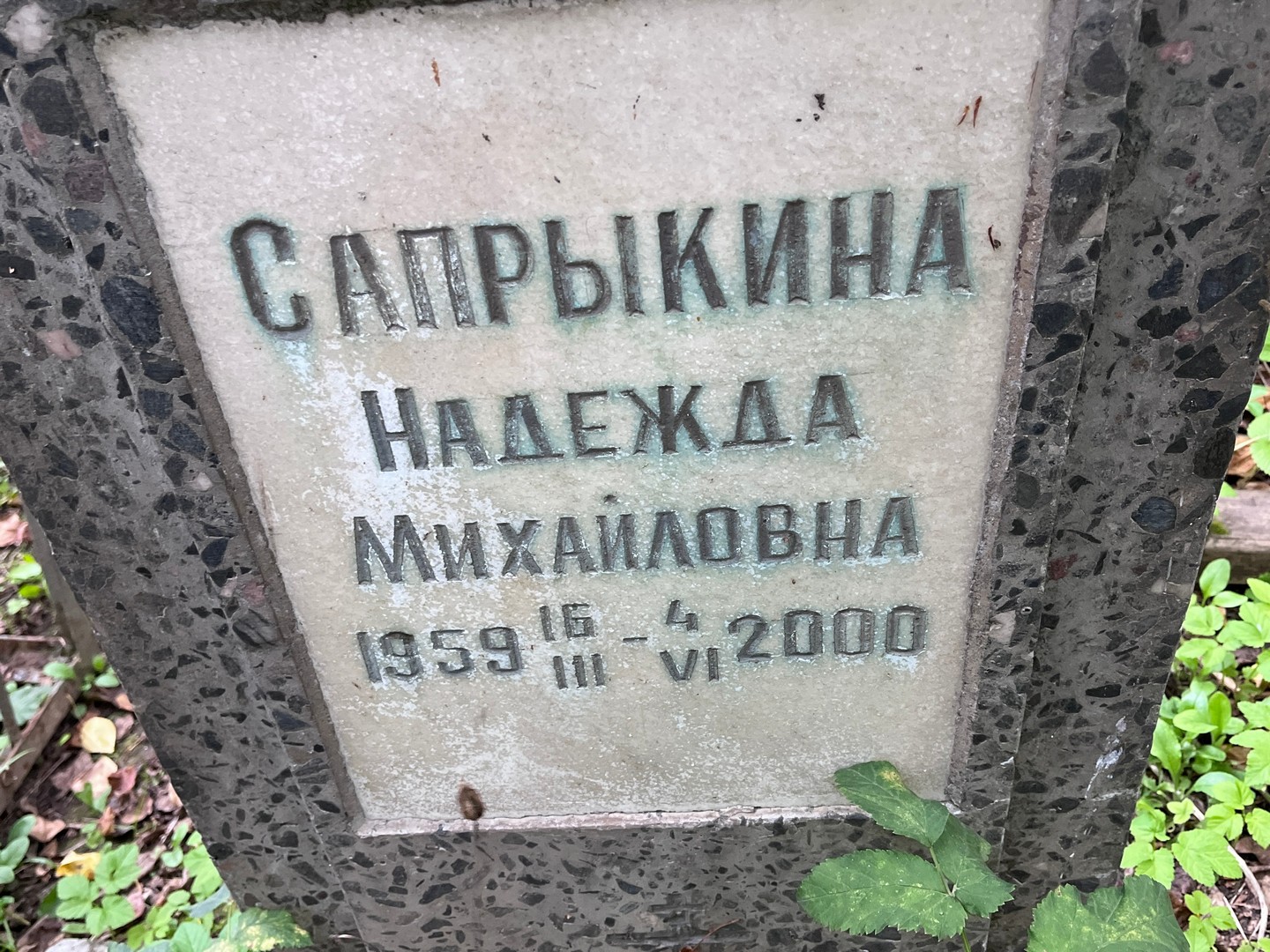 Сапрыкина