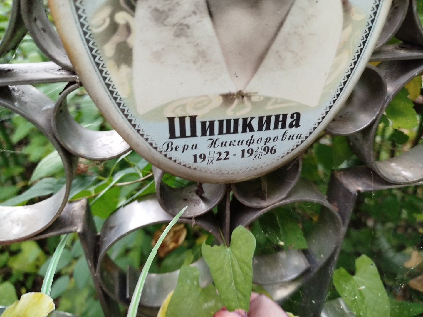 Шишкина