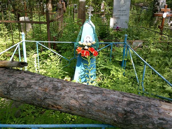 Соловьева Дарья Матвеевна