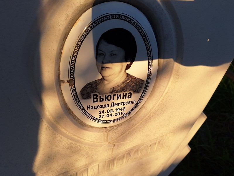 Вьюгина