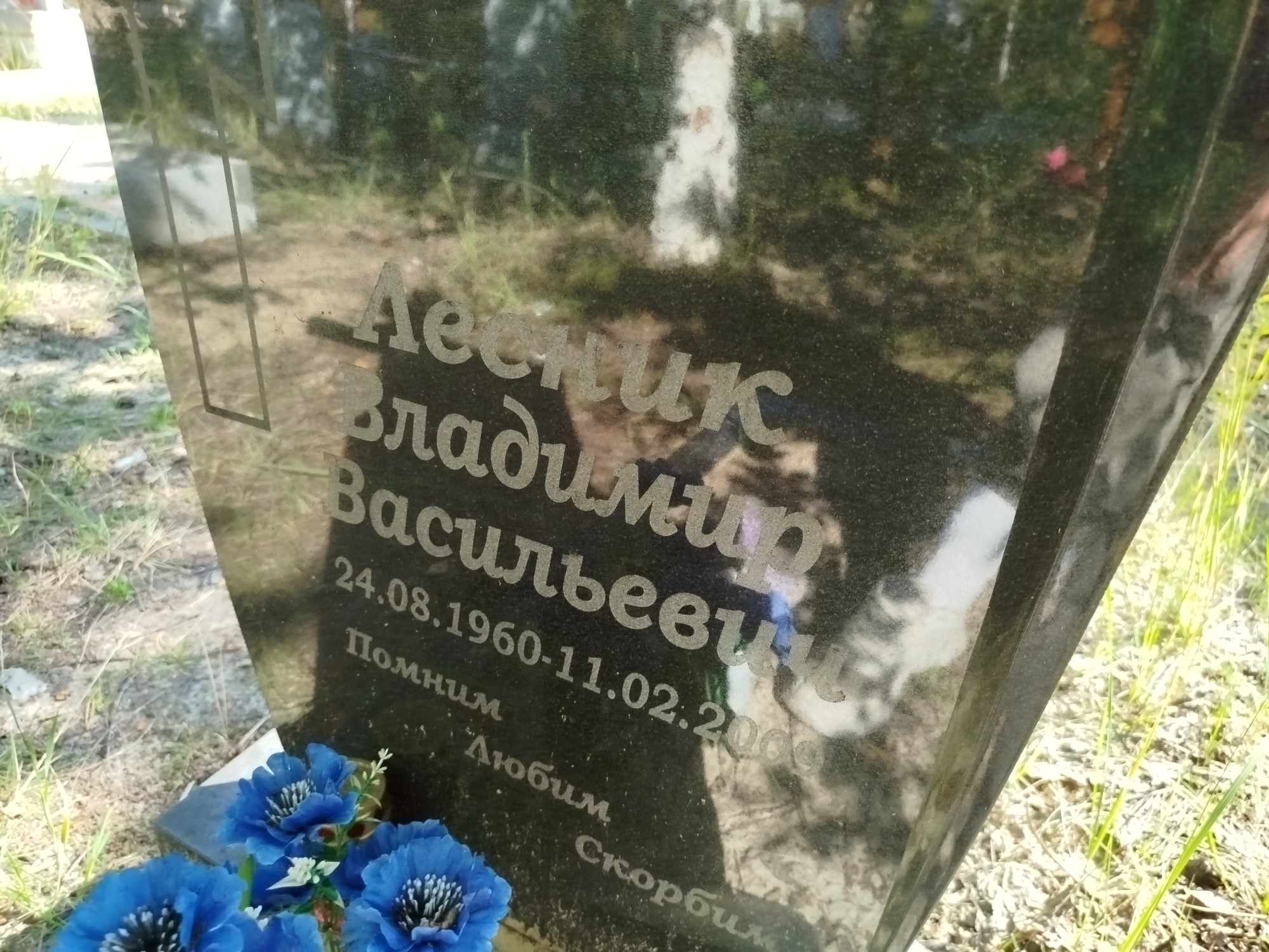 Лесник Владимир Васильевич